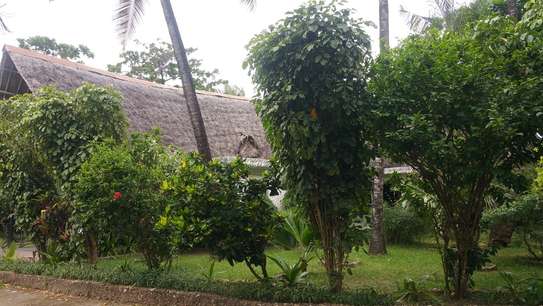 3br house with 2 SQ on 3/4 acre plot for rent near City Mall. Hr-2510 image 6