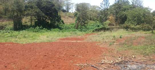 0.5 ac Residential Land at Muthithi image 6