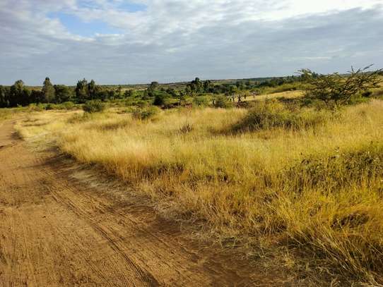 Affordable Plots in THIKA-MUTHARAA. image 8