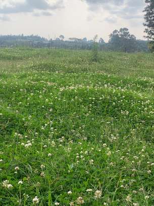 Land in Kikuyu Town image 9