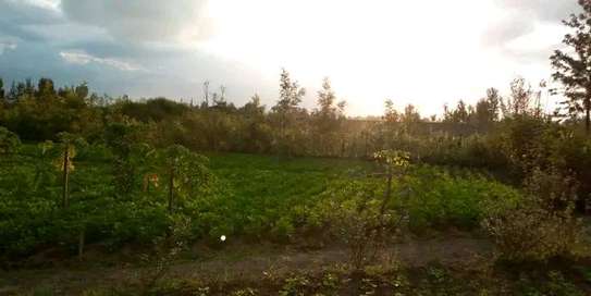 Prime 0.4 Acre land with 2 br house for Sale image 6