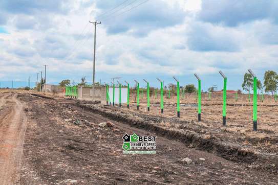 Ruiru Kamakis  - Mwalimu Farm image 2