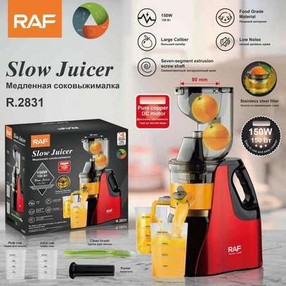 RAF Slow Juicer R.2831 150W Quiet Large Chute image 1