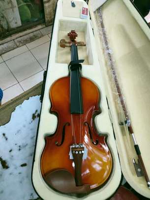 Violin image 1