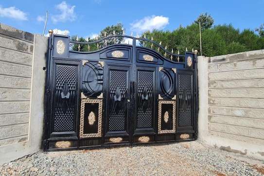 Top and  trendy high quality steel gates image 1
