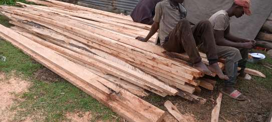 Timber supply image 3