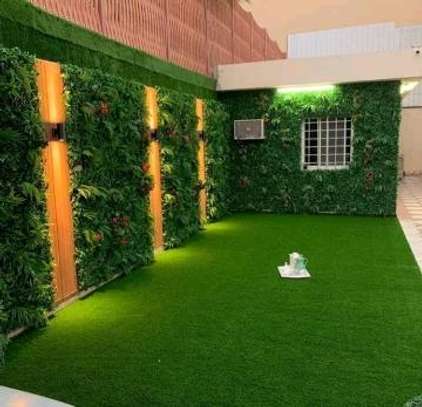 Artificial grass carpet cleaner image 1