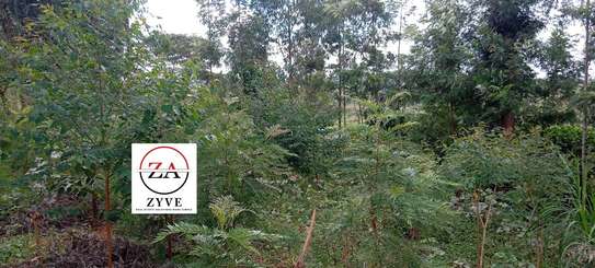 0.125 ac Land at Kasphat Estate image 10