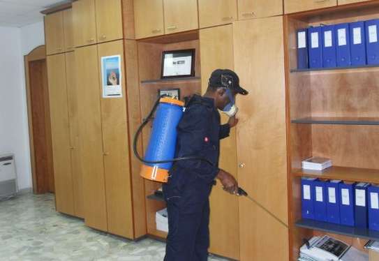 Fumigation and pest Control Services Kahawa West image 2