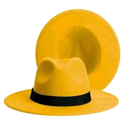 Fashion fedora hats_# image 3