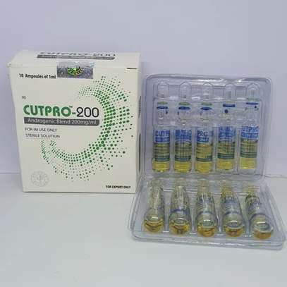 CUTPRO 200 image 2