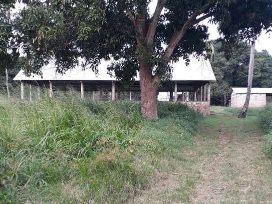 80,940 m² Commercial Land in Kwale County image 19