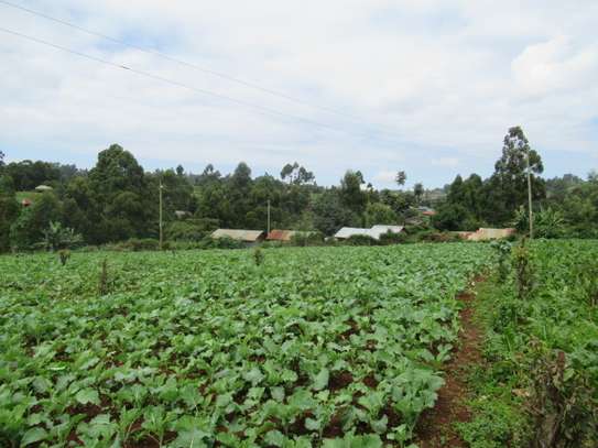 3.25 Acres Of Land For Sale in Ruku/Wangige image 7