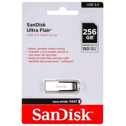 256 GB Sandisk Flash image 4