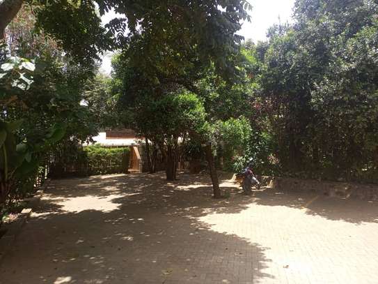 1 ac Land at Marula Road image 12