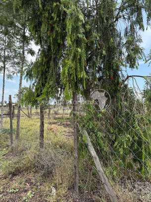 Prime 1/4 Acre Plots For Sale In Kitengela image 5