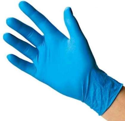 Disposable Gloves (pair) image 1