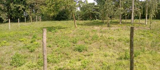 Prime Land in Kahara/Matasia image 3