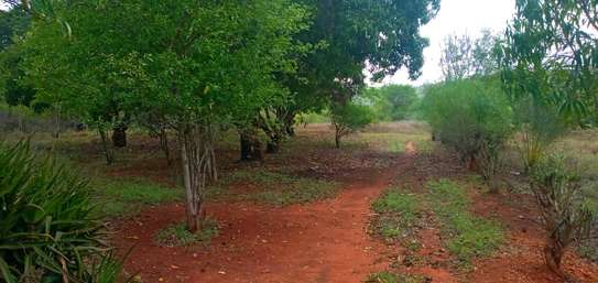 22 acres in Kwale County Vuga near Bila Shaka primary. image 1