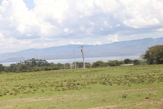1 Acre For sale in Naivasha,Kedong Ranch image 5