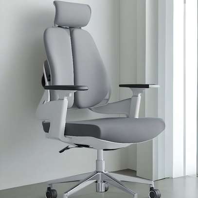 Office Chair: Double Back Height Adjustable Armrests Chair image 7
