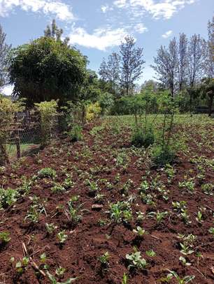 0.045 ha Residential Land at Kikuyu Kamangu image 4