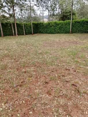 Beautiful one eighth plots in Ngong image 1