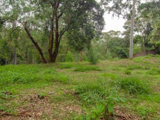 1 ac Land in Muthaiga image 1