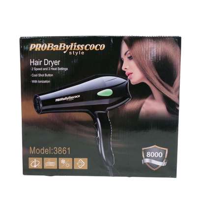 ProBabylisscoco Salon Professional Hair Dryer - Pro 3861 image 1