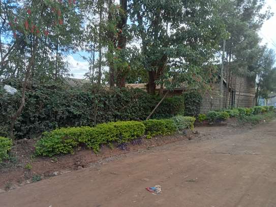 Commercial Property  at Kiamumbi Estate image 4