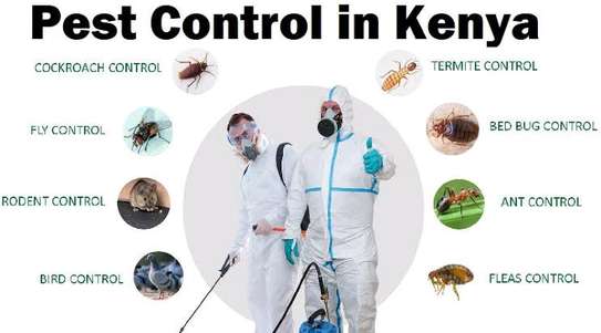 Fumigation and pest control image 2