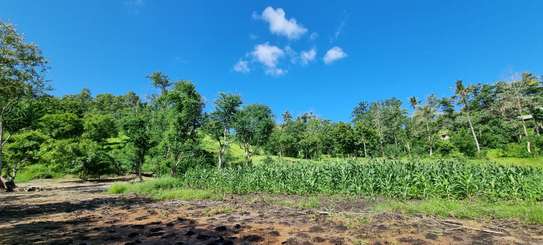 2.5 ac Land at Mtwapa Creekside image 25