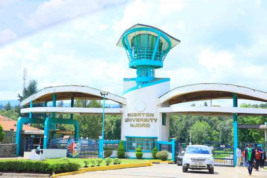 Prime plots in Nakuru image 6
