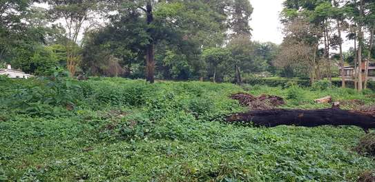 Residential Land at Shanzu Road image 4