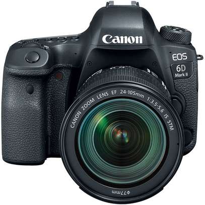 Canon EOS 6D Mark II with 24-105mm f/3.5-5.6 Lens image 5
