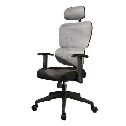 Office Chair:  Lumbar Support Office Chair image 2