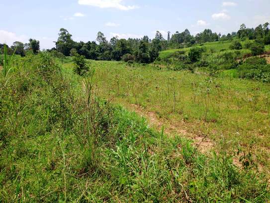 Prime 3 Acre Land For Sale in Shihome,Malava , Kakamega image 2