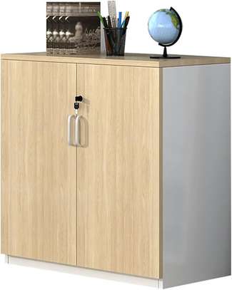Office Cupboard: Brown 2-Door Wooden Office Cupboard image 5