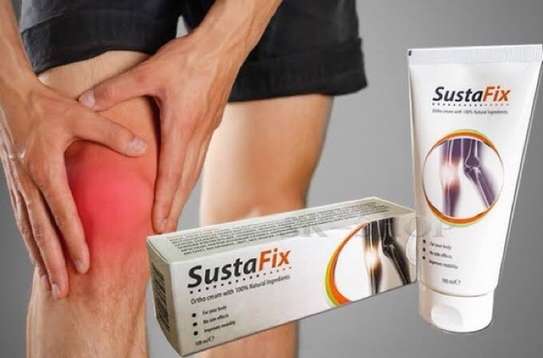 Sustafix Joint Pain Relief Cream-100Ml image 1