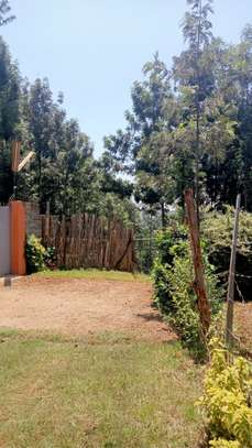 land for sale in Ruaka image 2