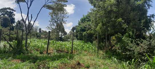 Residential Land at Karuri image 2