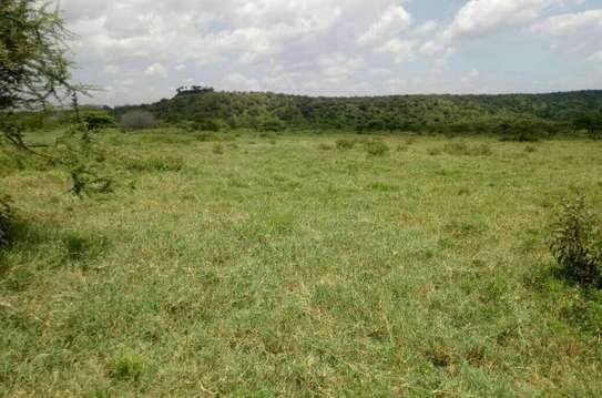 220 Acres Land Located in Malindi Galana Is For Sale image 3