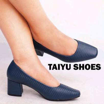 Closed low taiyu heels image 1
