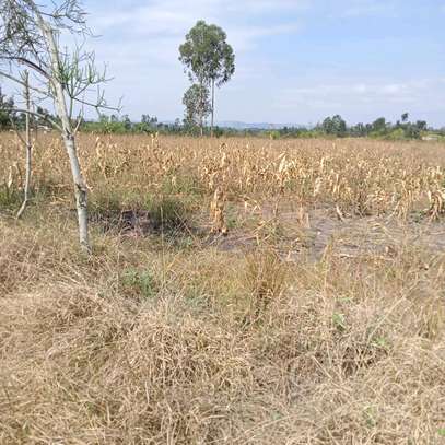 1 ACRE LAND AT KABATI GIKONO IN MURANGA COUNTY image 7