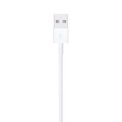 Lightning to USB Cable (1 m) image 1