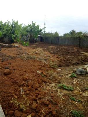 Prime 1/2 acre land for sale at Maguguni - Thika image 3