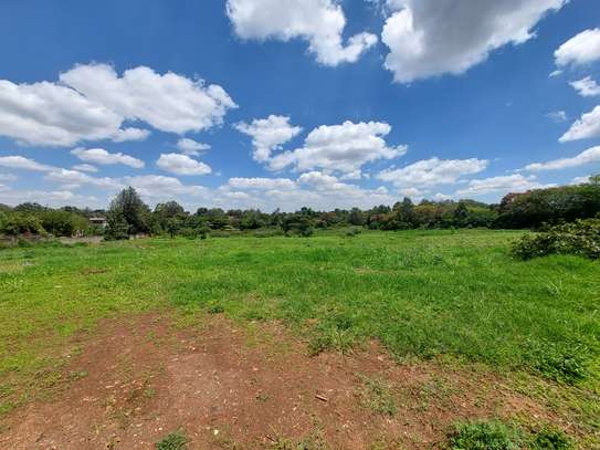 Residential Land at Eliud Mathu Streets image 10