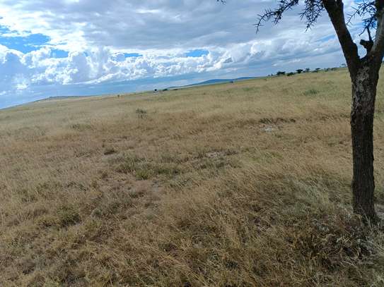 Land for sale in Lenchani image 4