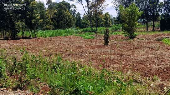 PRIME 1/4 ACRE PLOT FOR SALE- SALAMA GARDENS, GITERO-NYERI! image 2