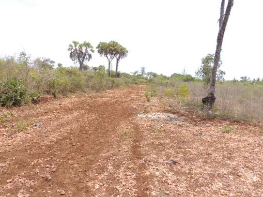 0.25 ac Residential Land at Diani Beach Road image 10